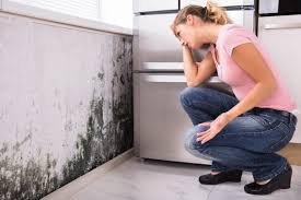 Best Air Quality Testing for Mold Spores  in Columbia Heights, MN